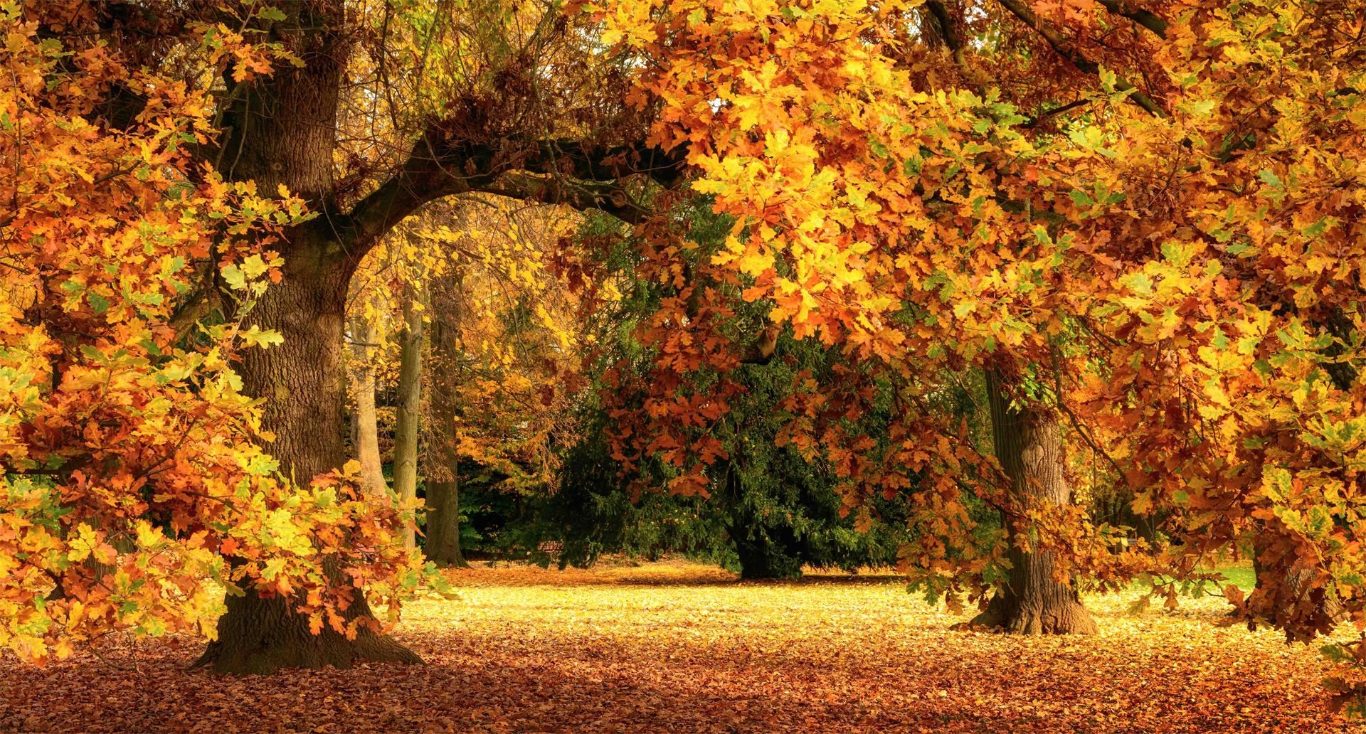 Natuurkleuren binnen Ledent macramé