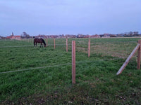 Schrikkoord FenceTech voor het afspannen van weides met paarden, toepassingsfoto
