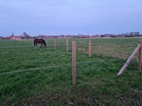 Schrikdraad FenceTech voor het afspannen van weides met paarden, toepassingsfoto