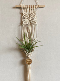 Corde macramé 3 mm – écru – 240 m – coton recyclé double retors