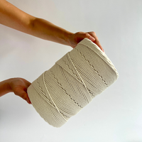 Corde macramé 3 mm – écru – 500 m – coton recyclé double retors